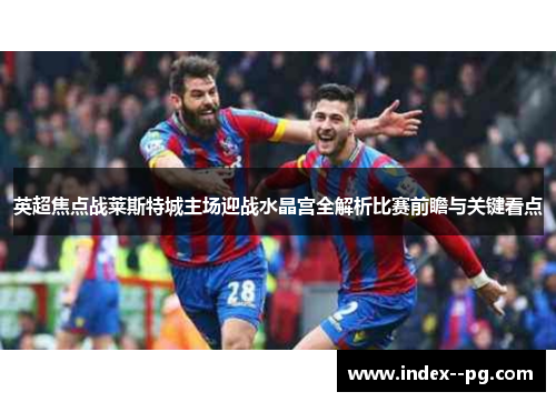 英超焦点战莱斯特城主场迎战水晶宫全解析比赛前瞻与关键看点