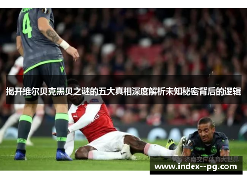 揭开维尔贝克黑贝之谜的五大真相深度解析未知秘密背后的逻辑