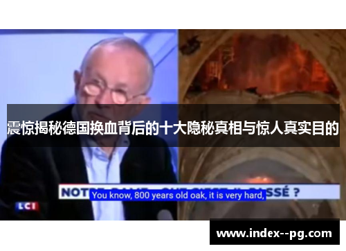 震惊揭秘德国换血背后的十大隐秘真相与惊人真实目的 震惊揭秘德国换血背后的十大隐秘真相与惊人真实目的