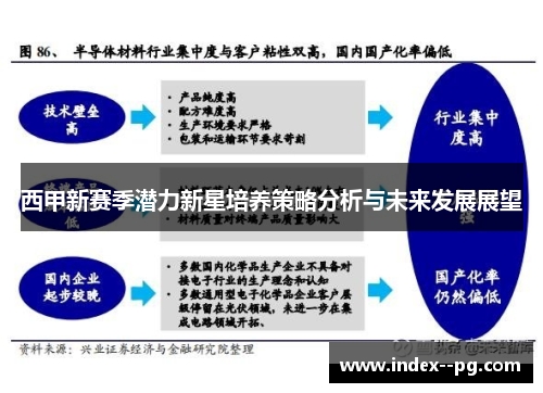 西甲新赛季潜力新星培养策略分析与未来发展展望