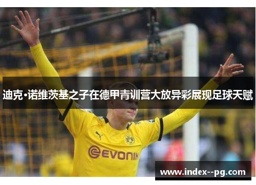 迪克·诺维茨基之子在德甲青训营大放异彩展现足球天赋