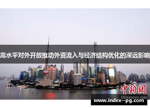高水平对外开放推动外资流入与经济结构优化的深远影响