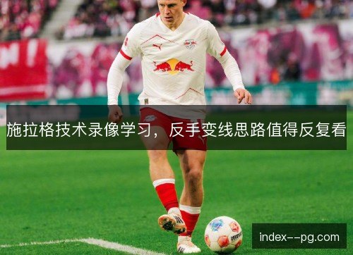 施拉格技术录像学习，反手变线思路值得反复看
