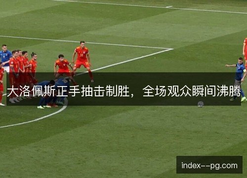 大洛佩斯正手抽击制胜，全场观众瞬间沸腾