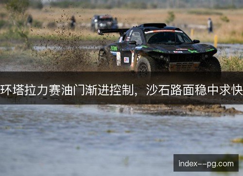 环塔拉力赛油门渐进控制，沙石路面稳中求快